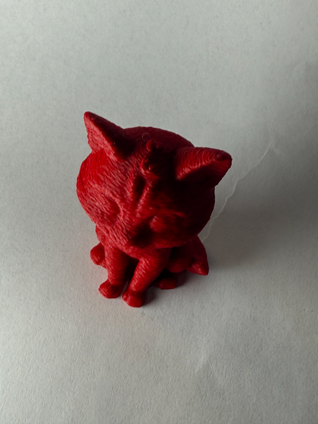 Knitted cute cat