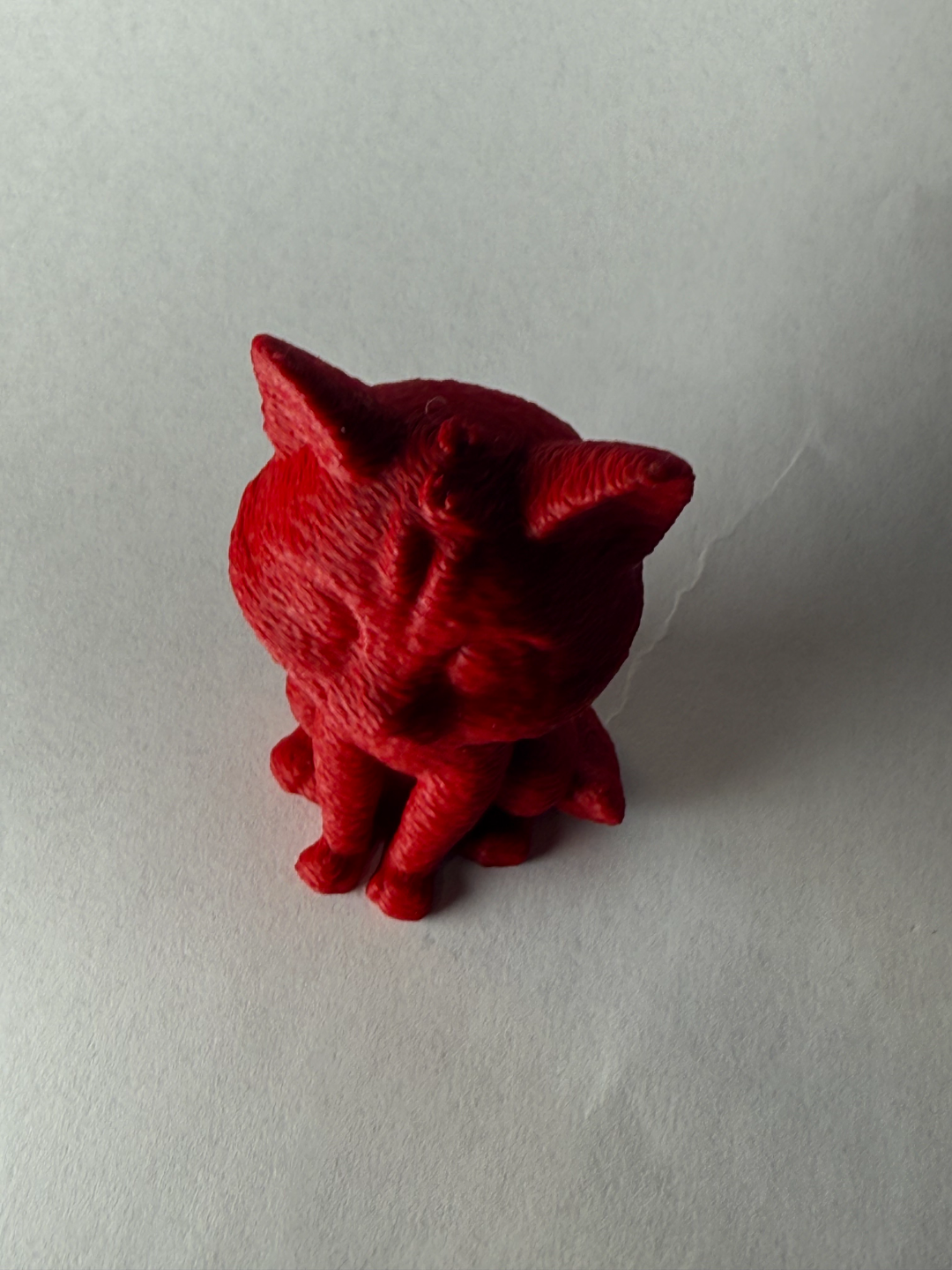 Knitted cute cat
