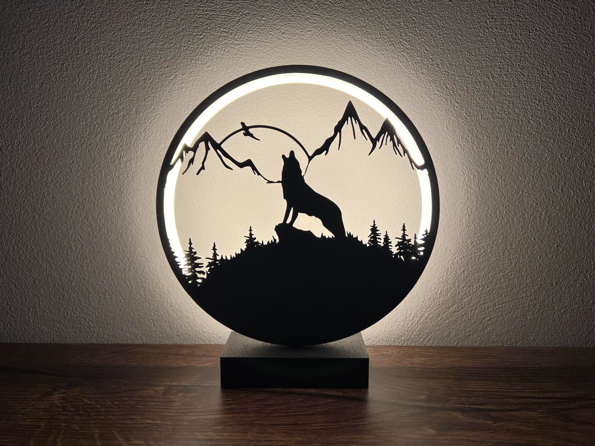 Led Ring Lamp with replacement panels