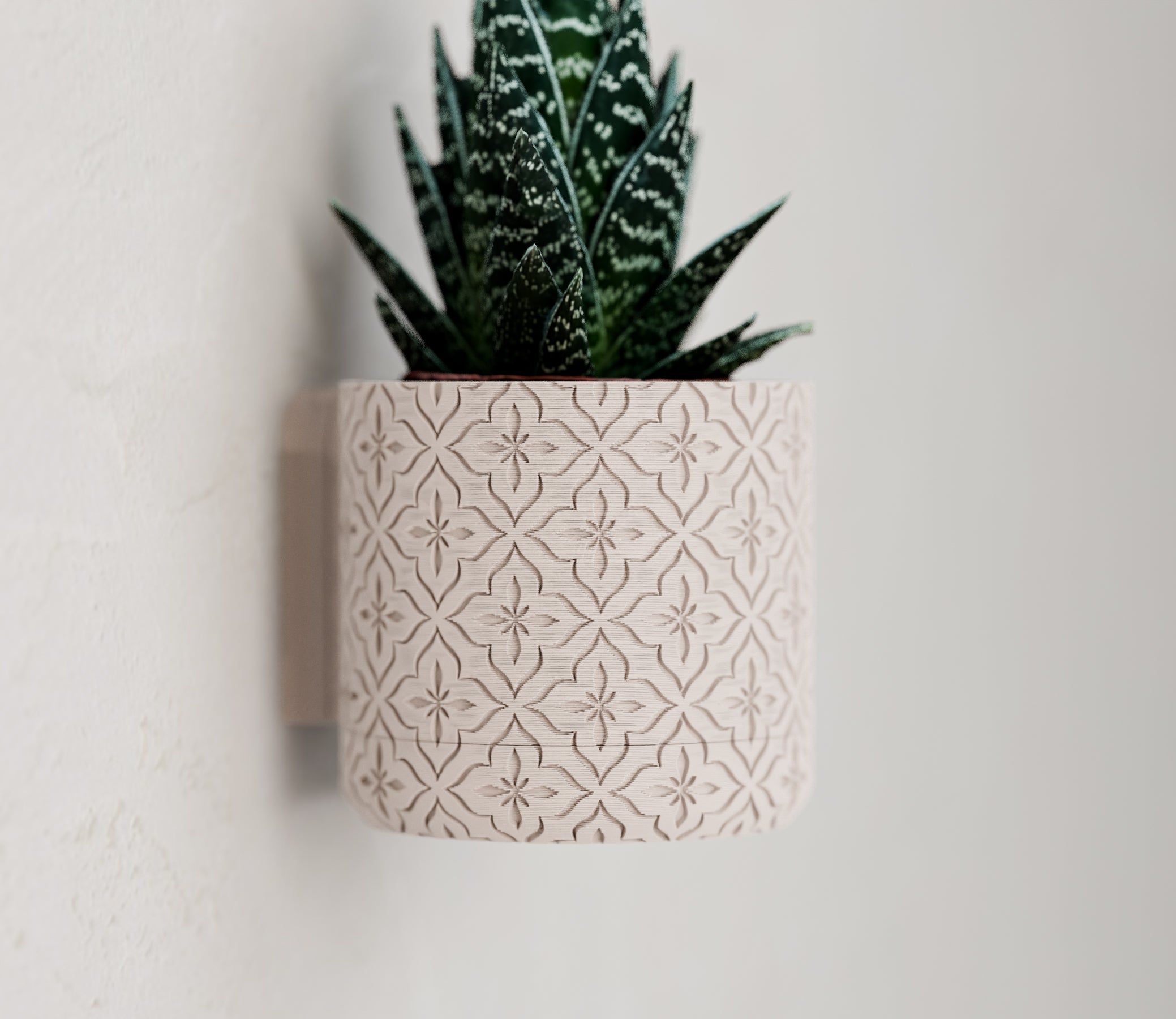 Wall Mounted Plant Pot with Removable Drip Tray