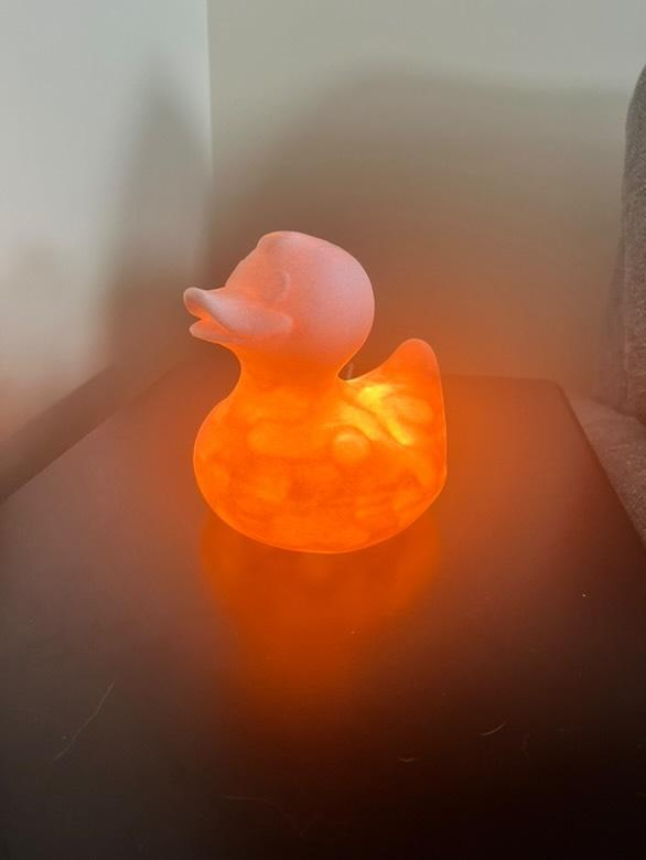 Pink Duck lamp (001 led light)