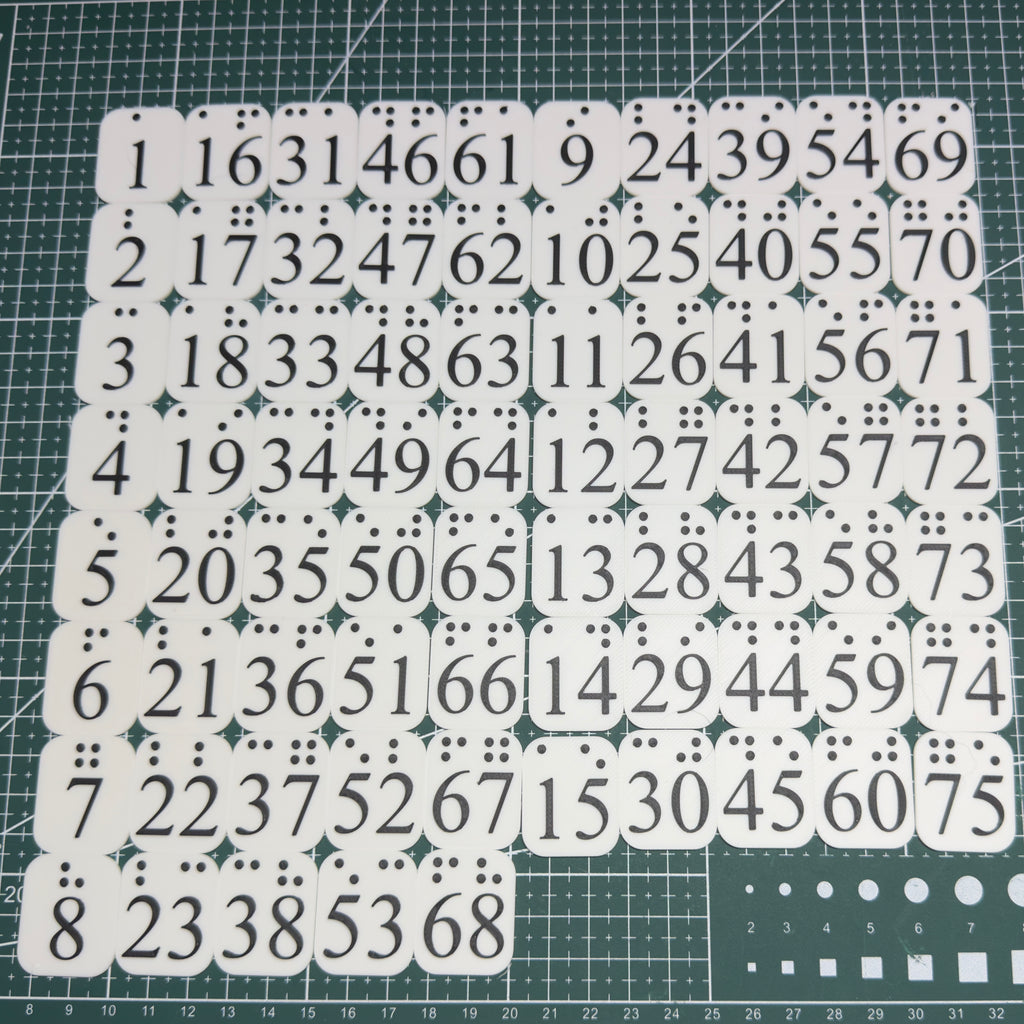 Visually Impaired & Blind People Bingo Card