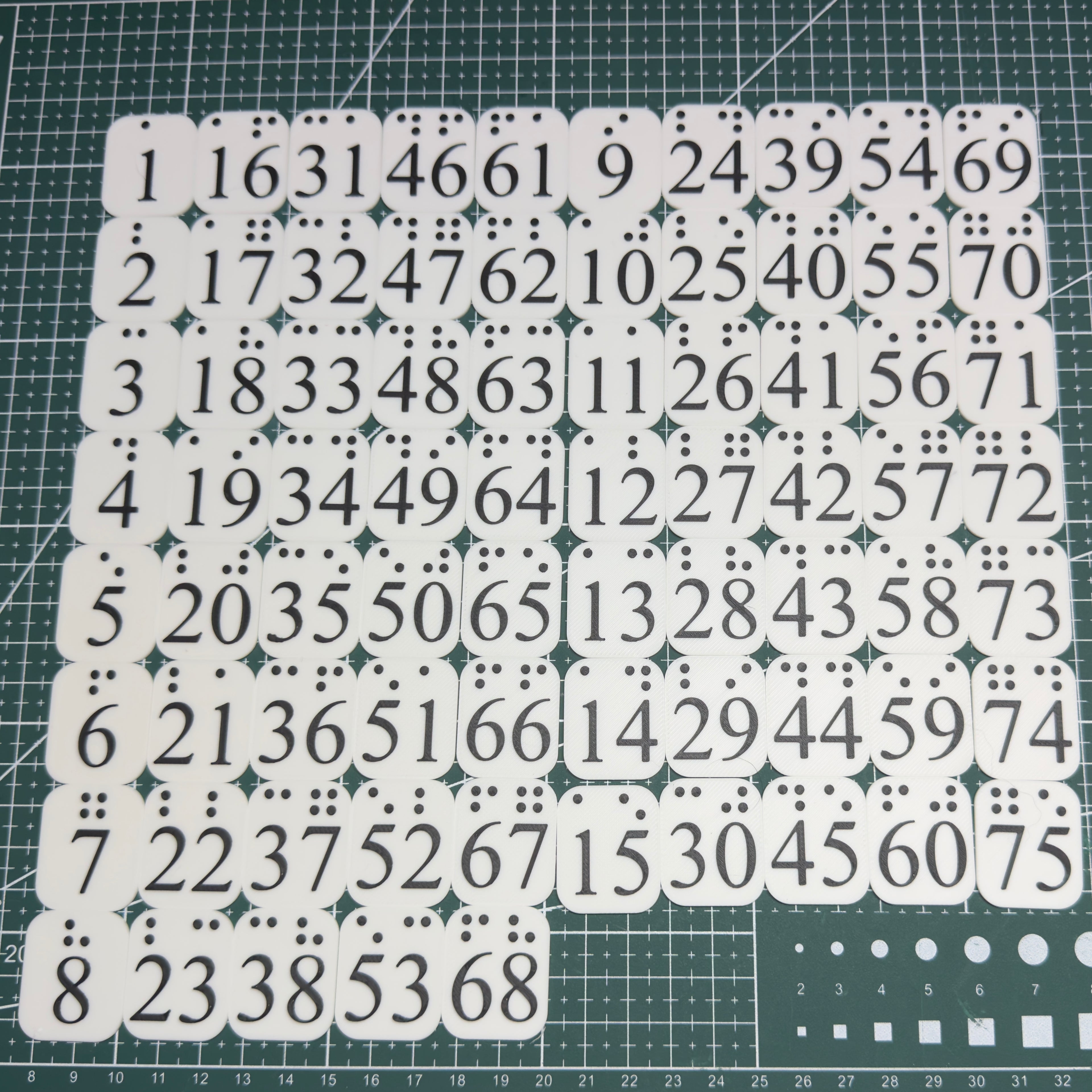 Visually Impaired & Blind People Bingo Card