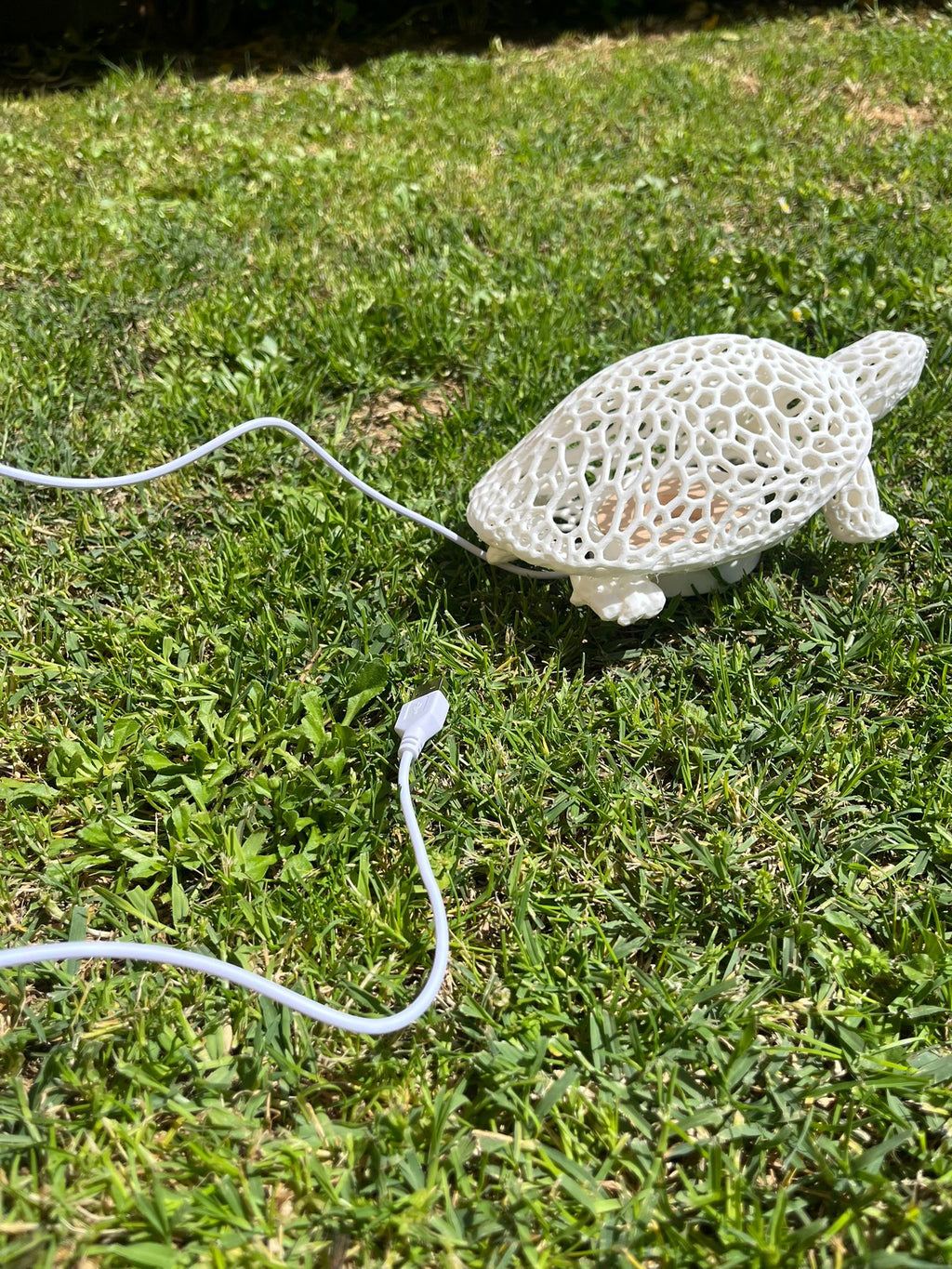 Lampada a forma di tartaruga