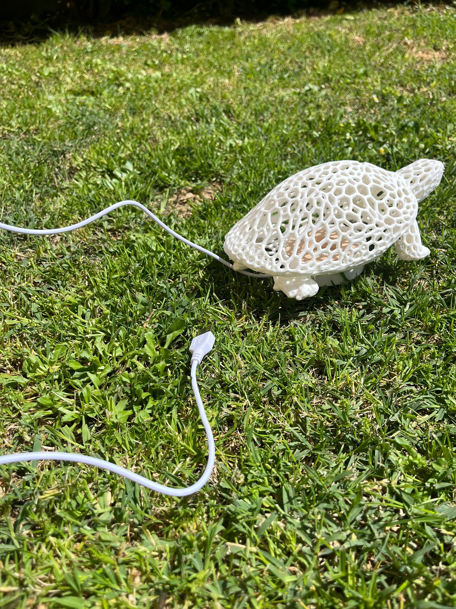 Lampada a forma di tartaruga