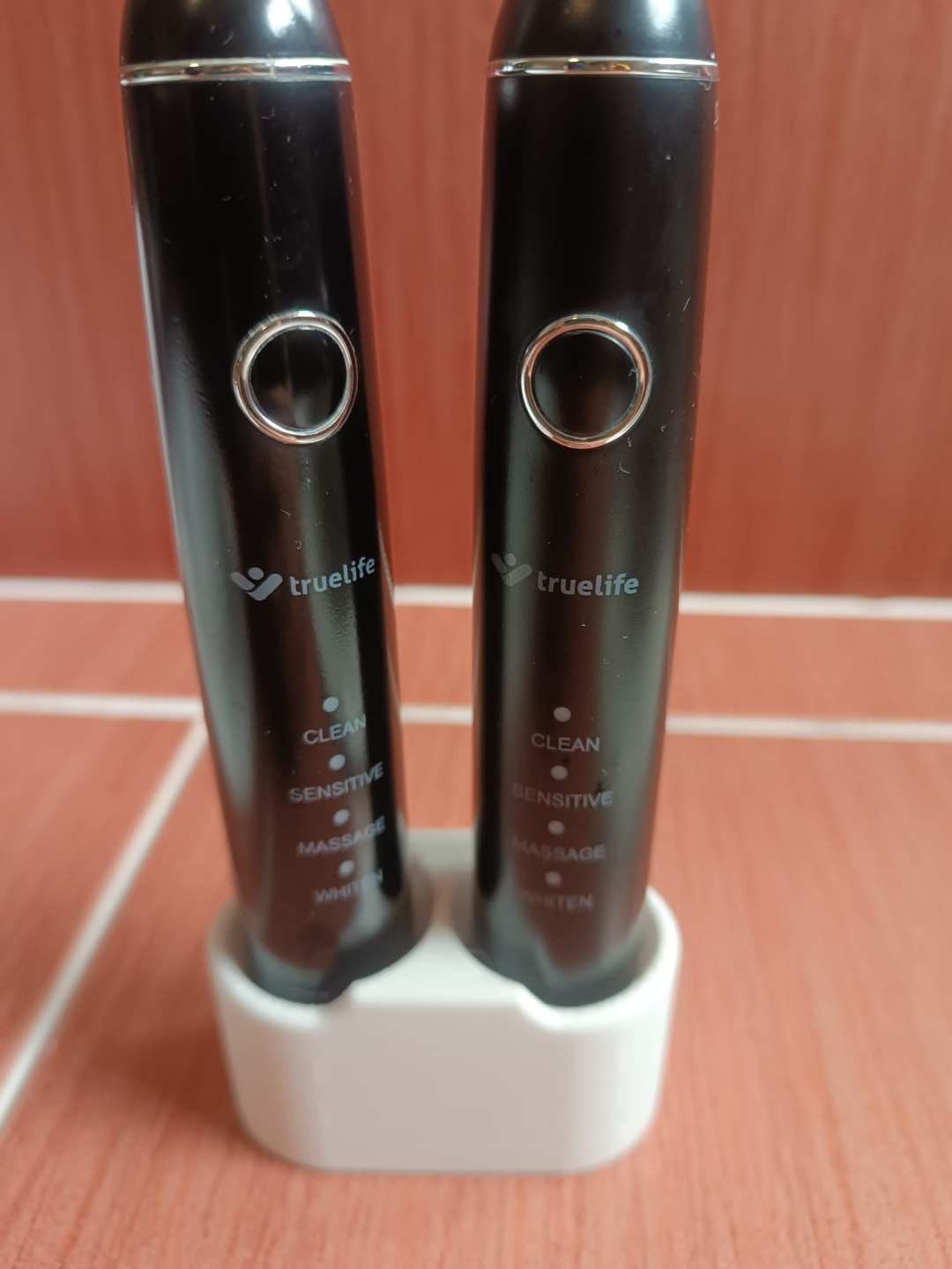 Stand for electric brushes
