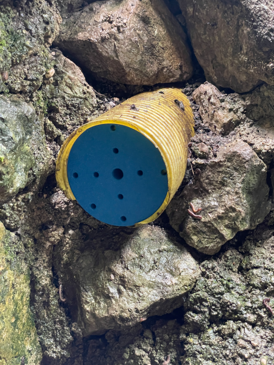 80mm Perforated Land Drainage Pipe plug