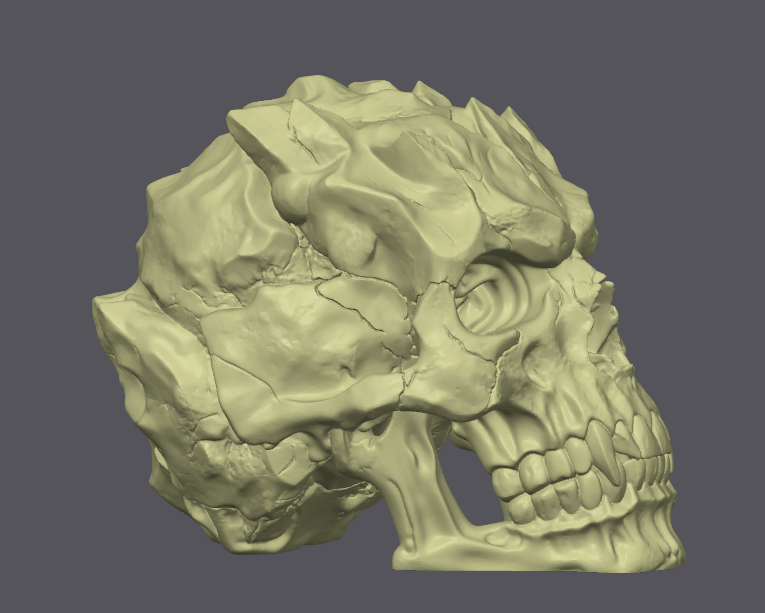 The Petrified Warden — Stoneborn Skull Relic