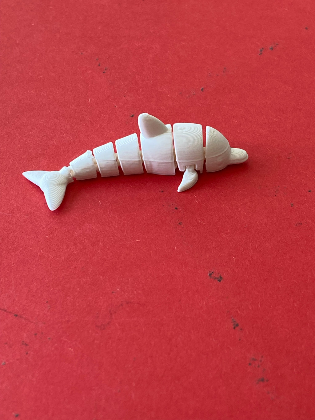 cute litle articulated dolphin
