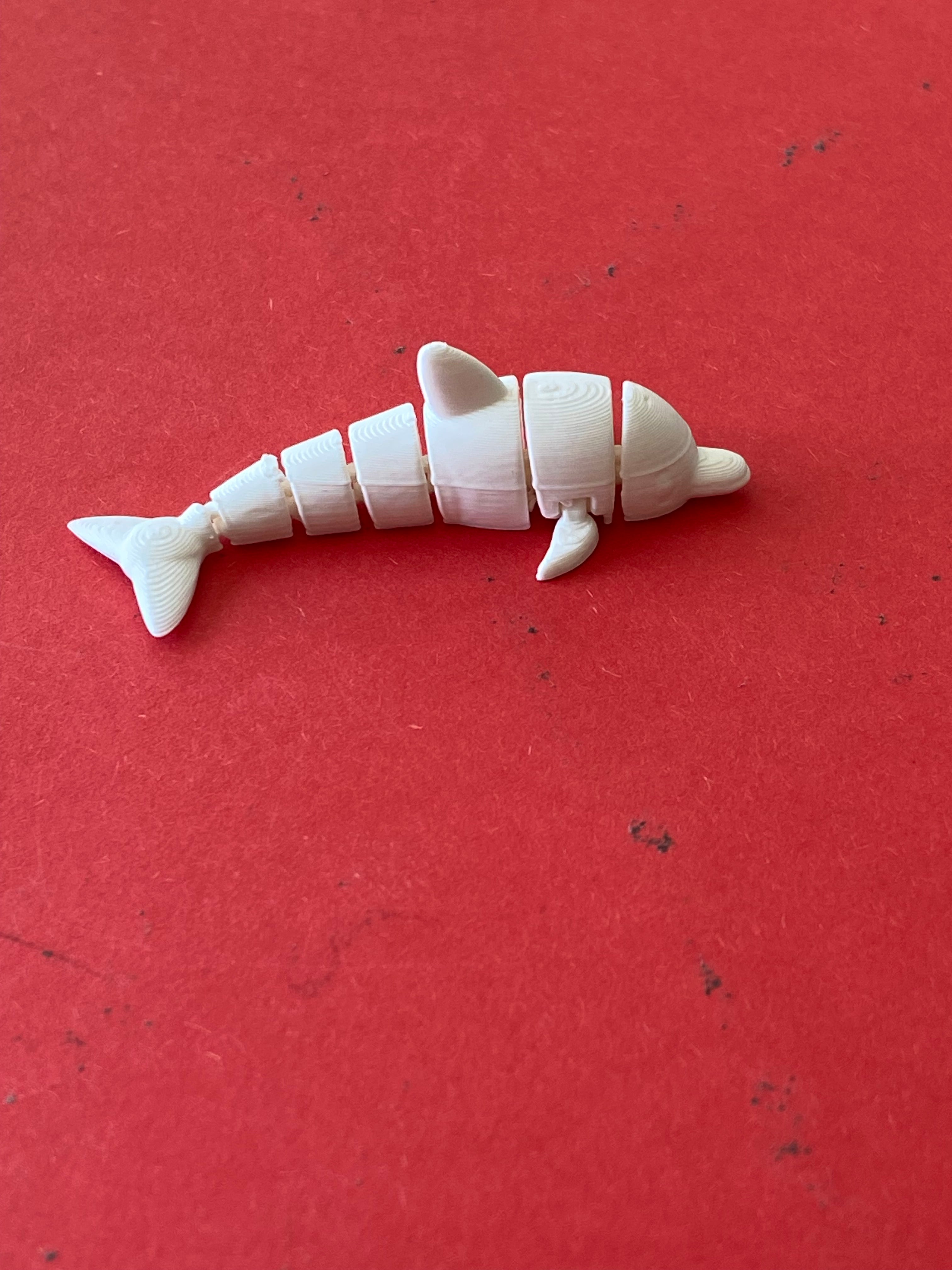 cute litle articulated dolphin