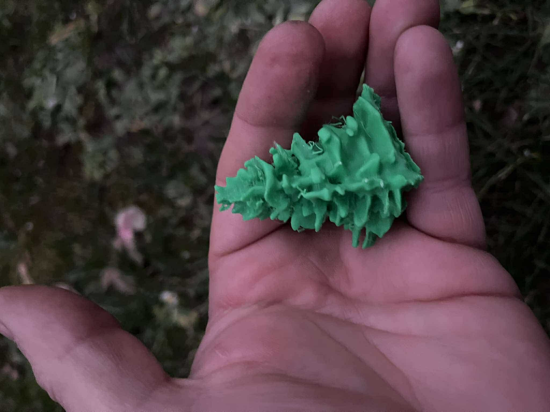 Coniferous trees diorama