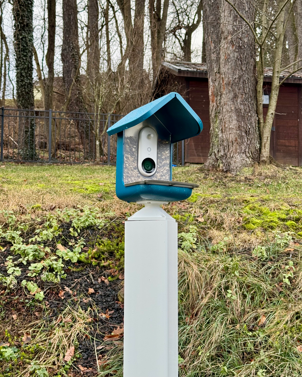 Bird Buddy 4x4 Post Mount