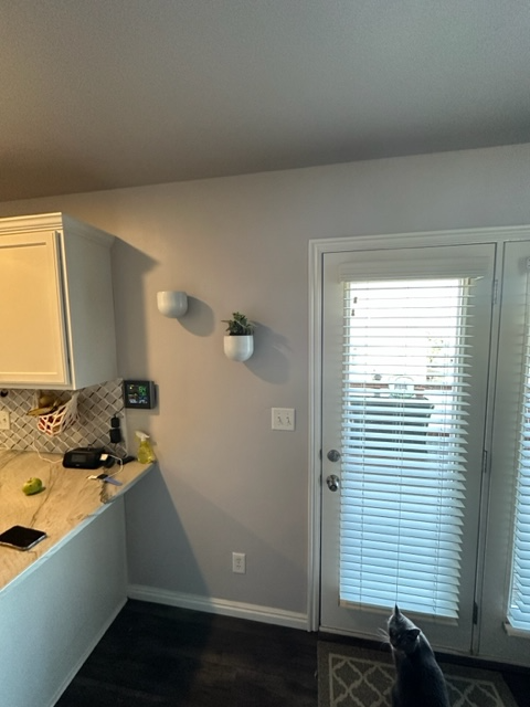 Wall Planter pot with mount