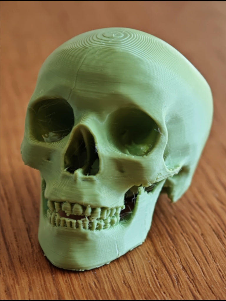Skull
