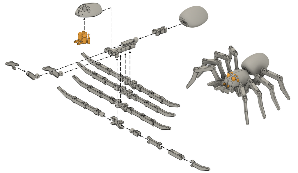 Articulated Spider
