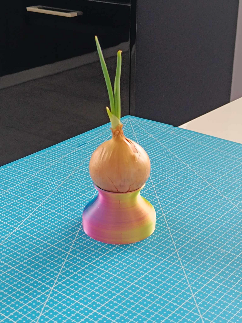 Onion chives pot