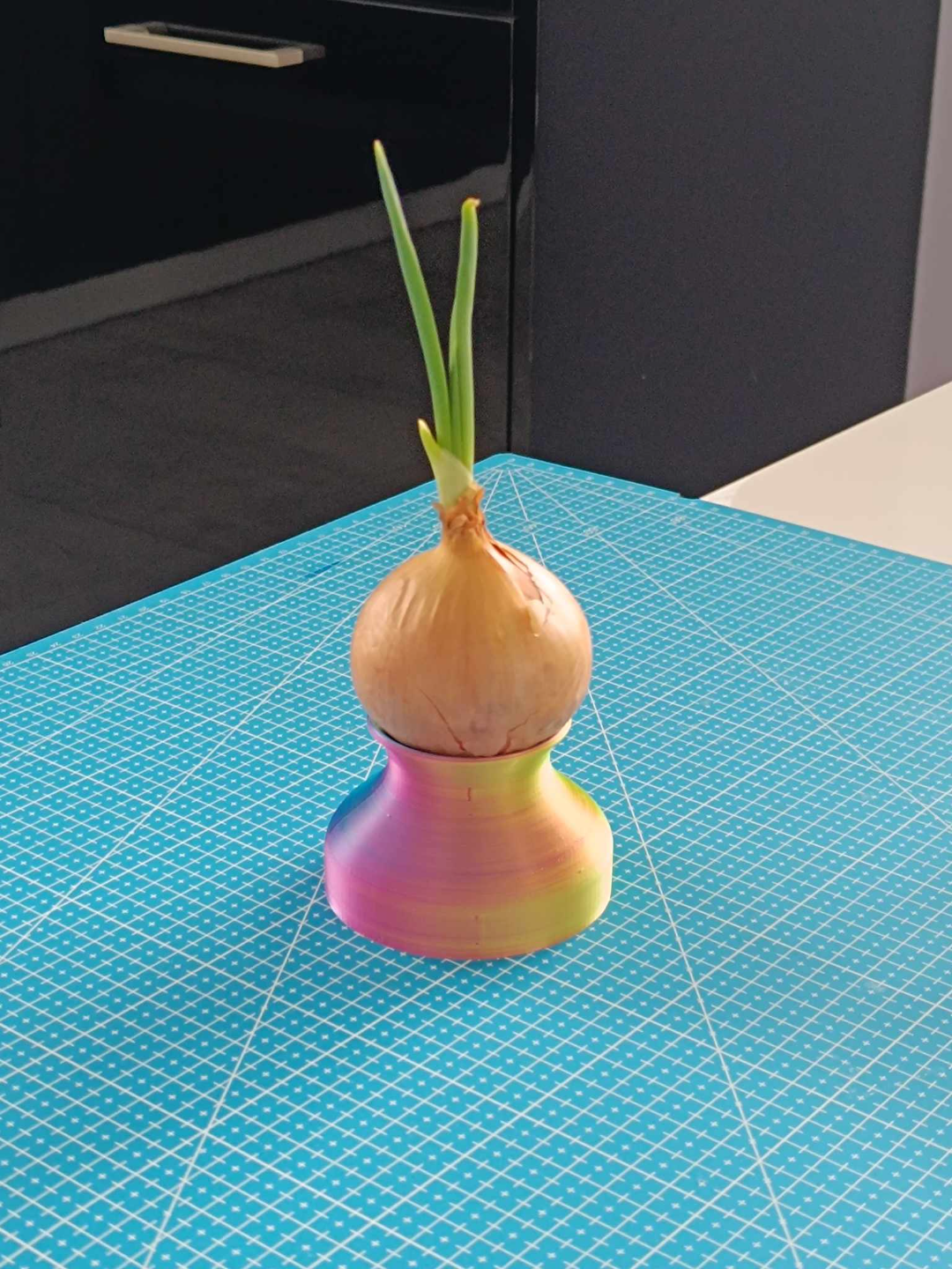 Onion chives pot