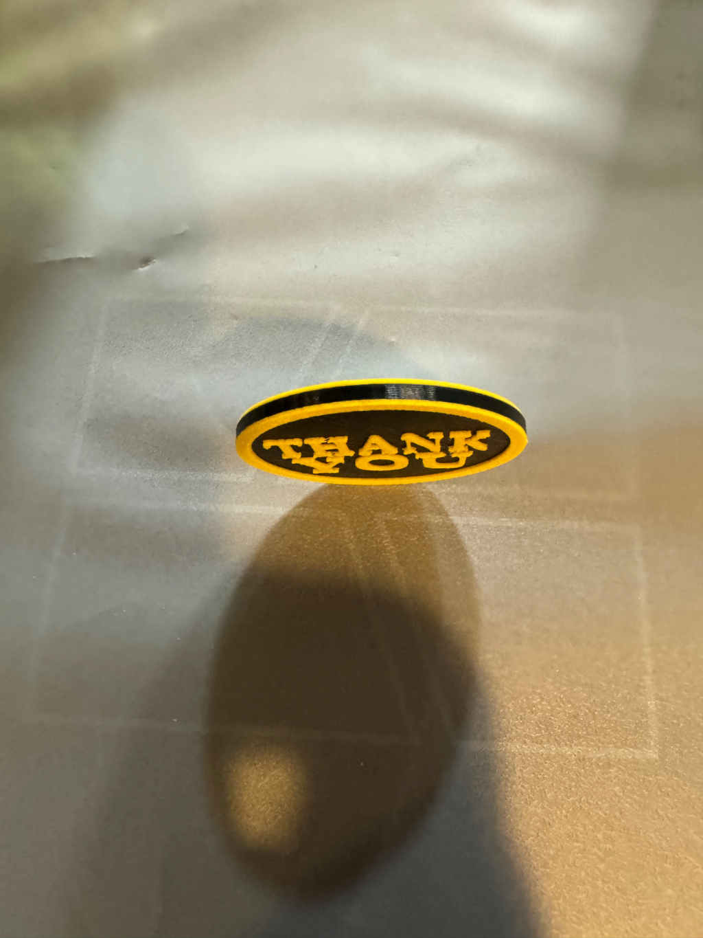 Army Veteran Thank You Coin