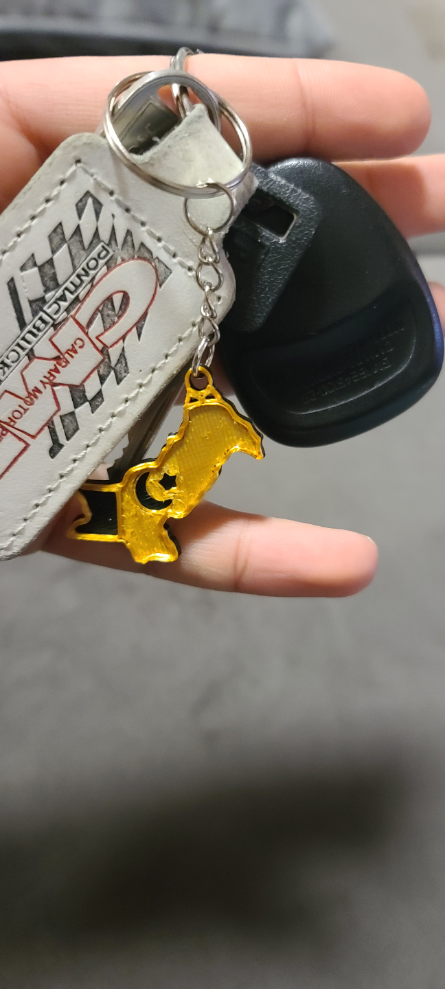 Pakistan Keychain Dual Color NO AMS Required