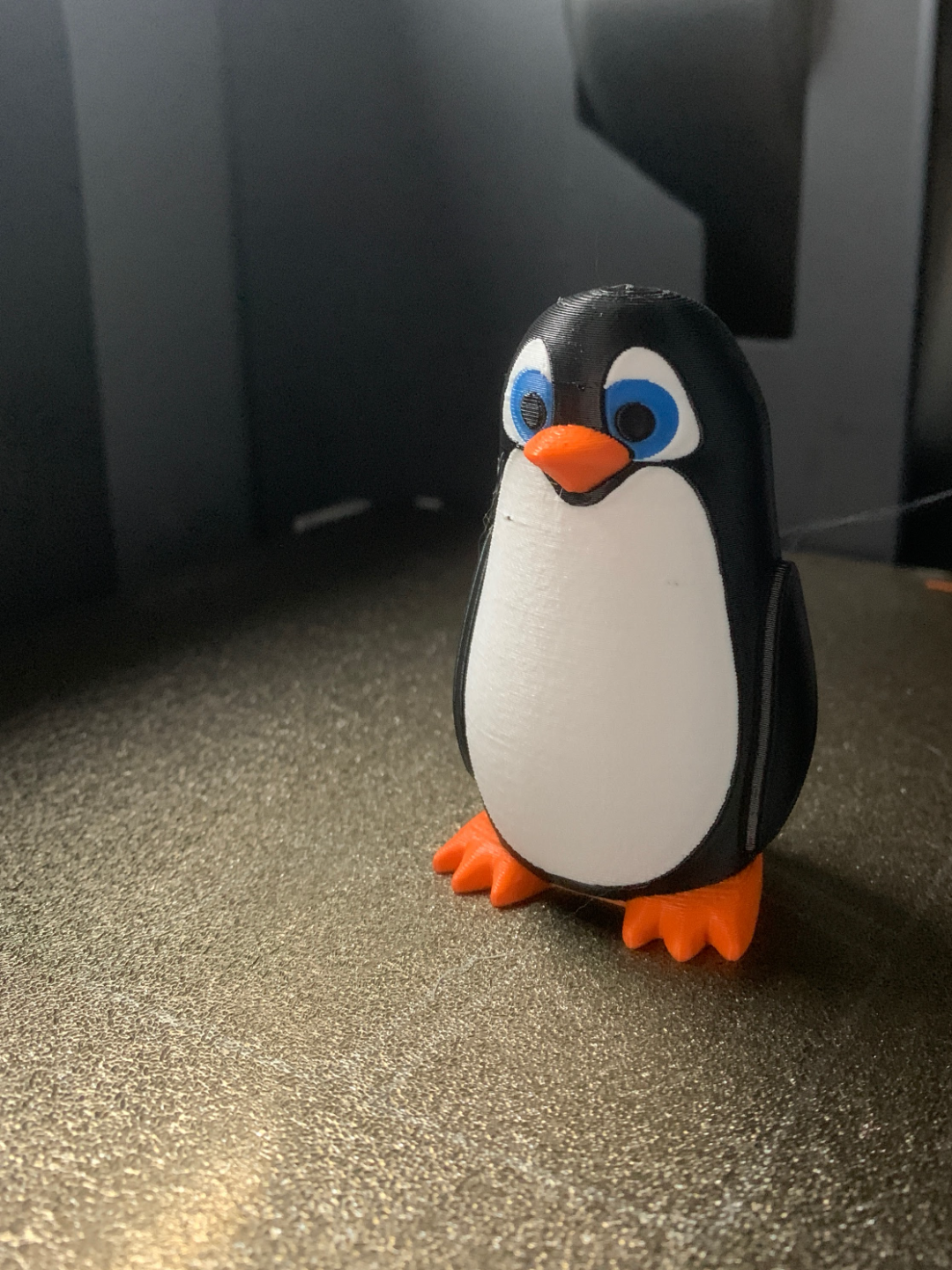 Cute Little Penguin