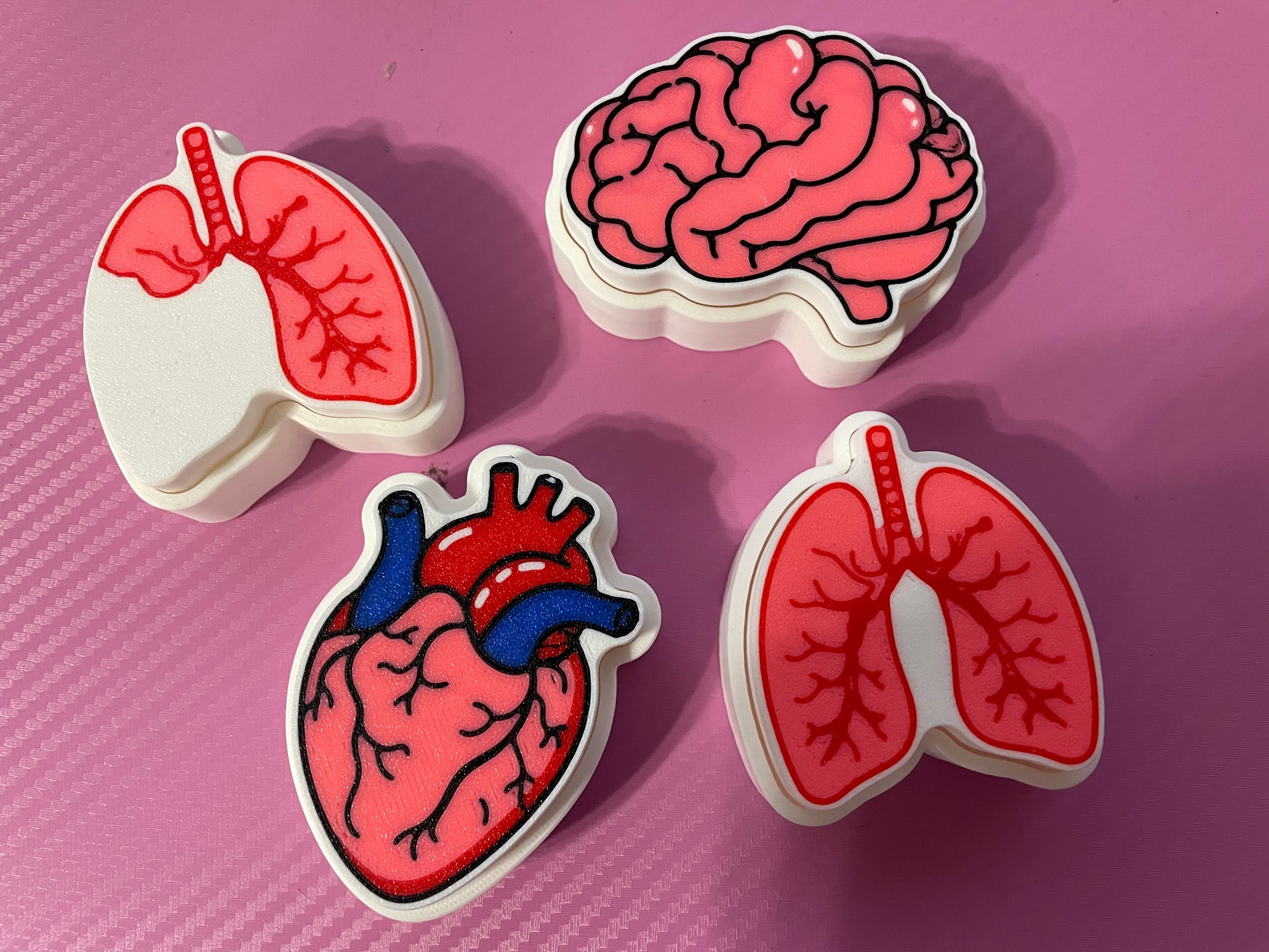 Anatomical Brain Clicker