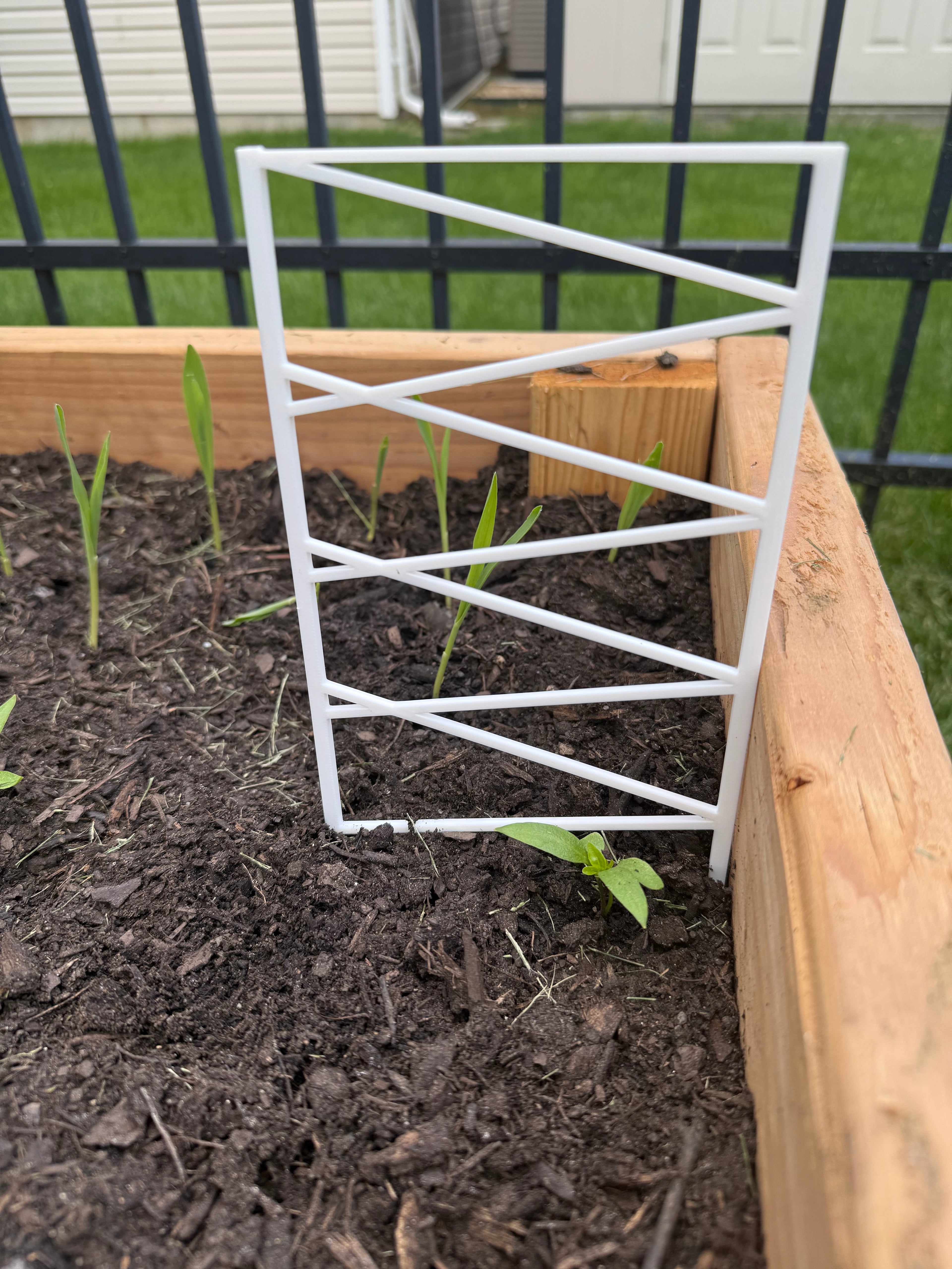 plant support fence
