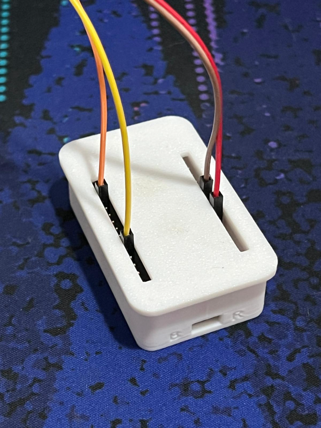ESP32 Case Type C with (quick access to pins)