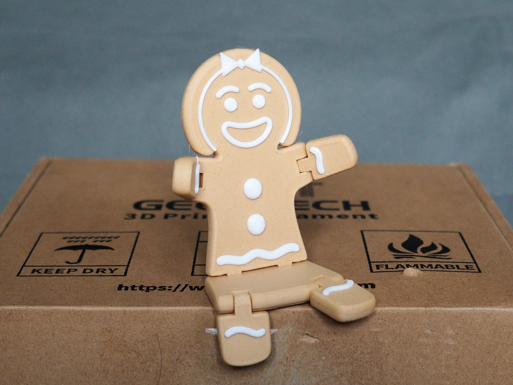 Christmas Gingerbread Woman Cookie