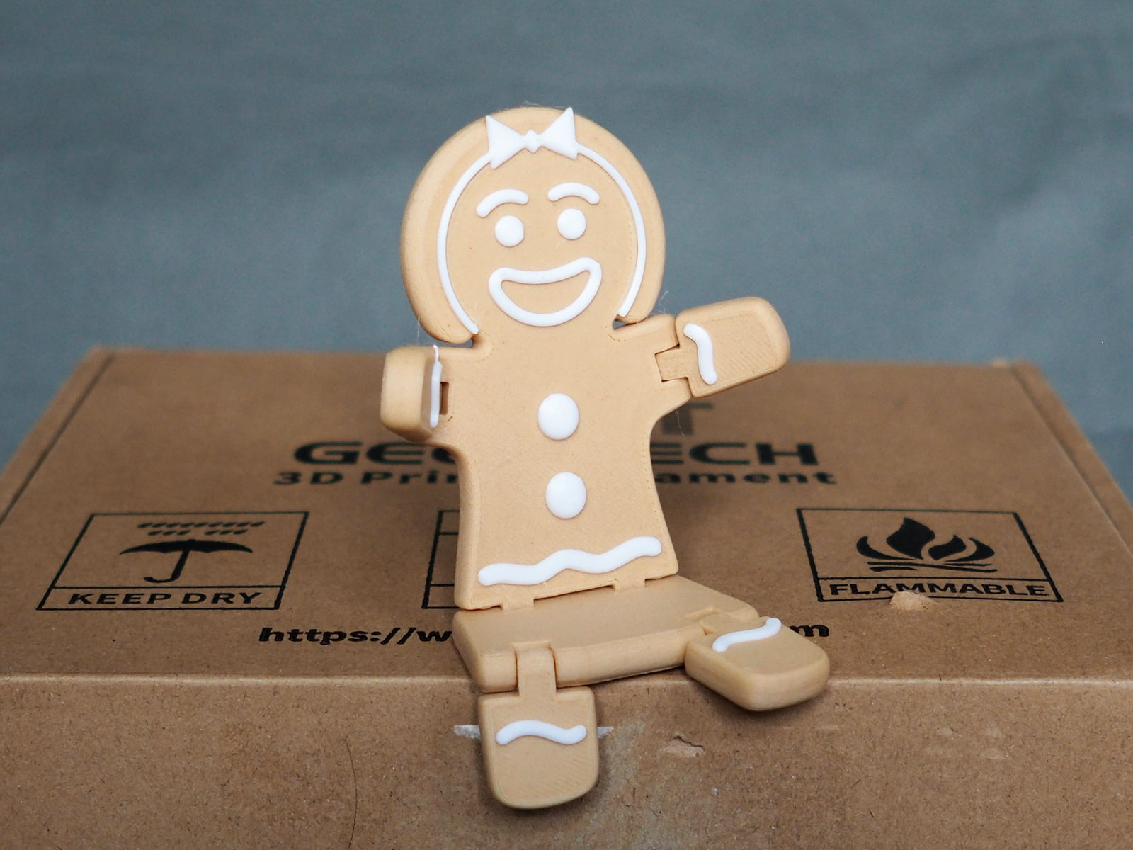 Christmas Gingerbread Woman Cookie