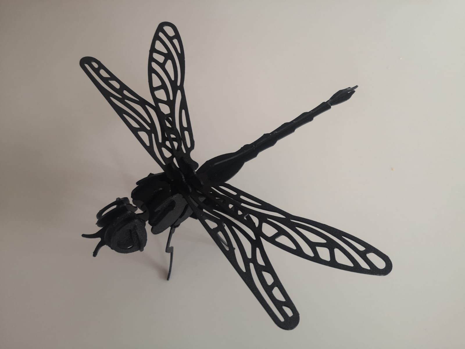 Dragonfly_3D