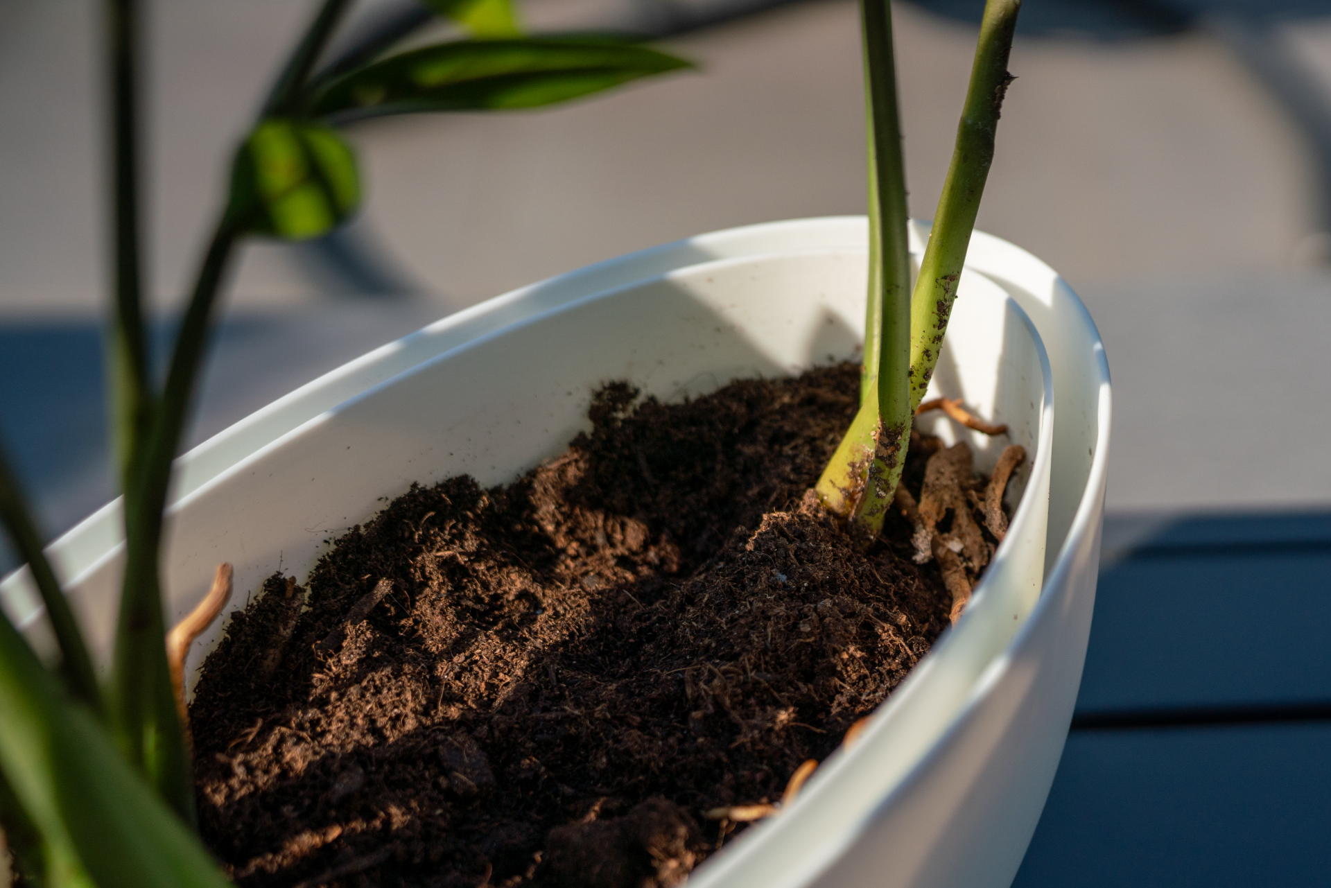 31cm / 12in Oval Pot with Drainer