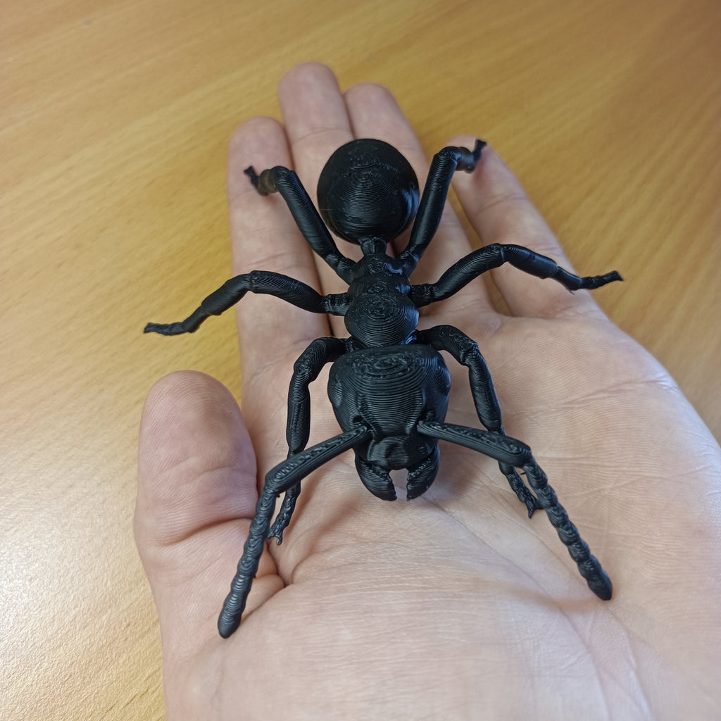 Common Black Garden Ant model