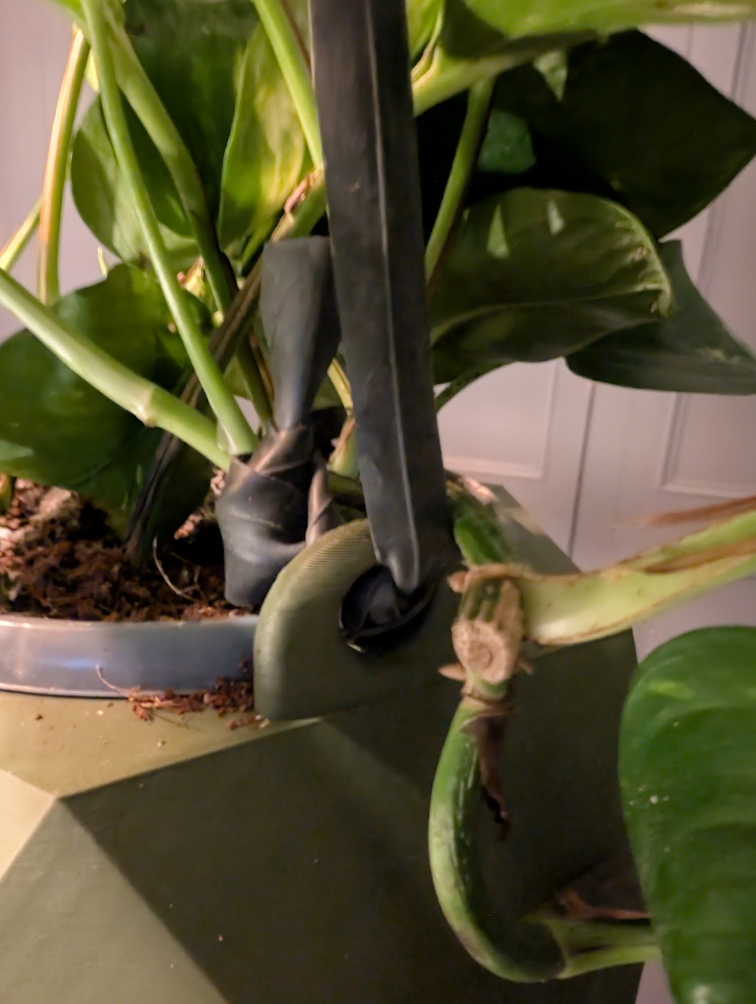 Hanging planter
