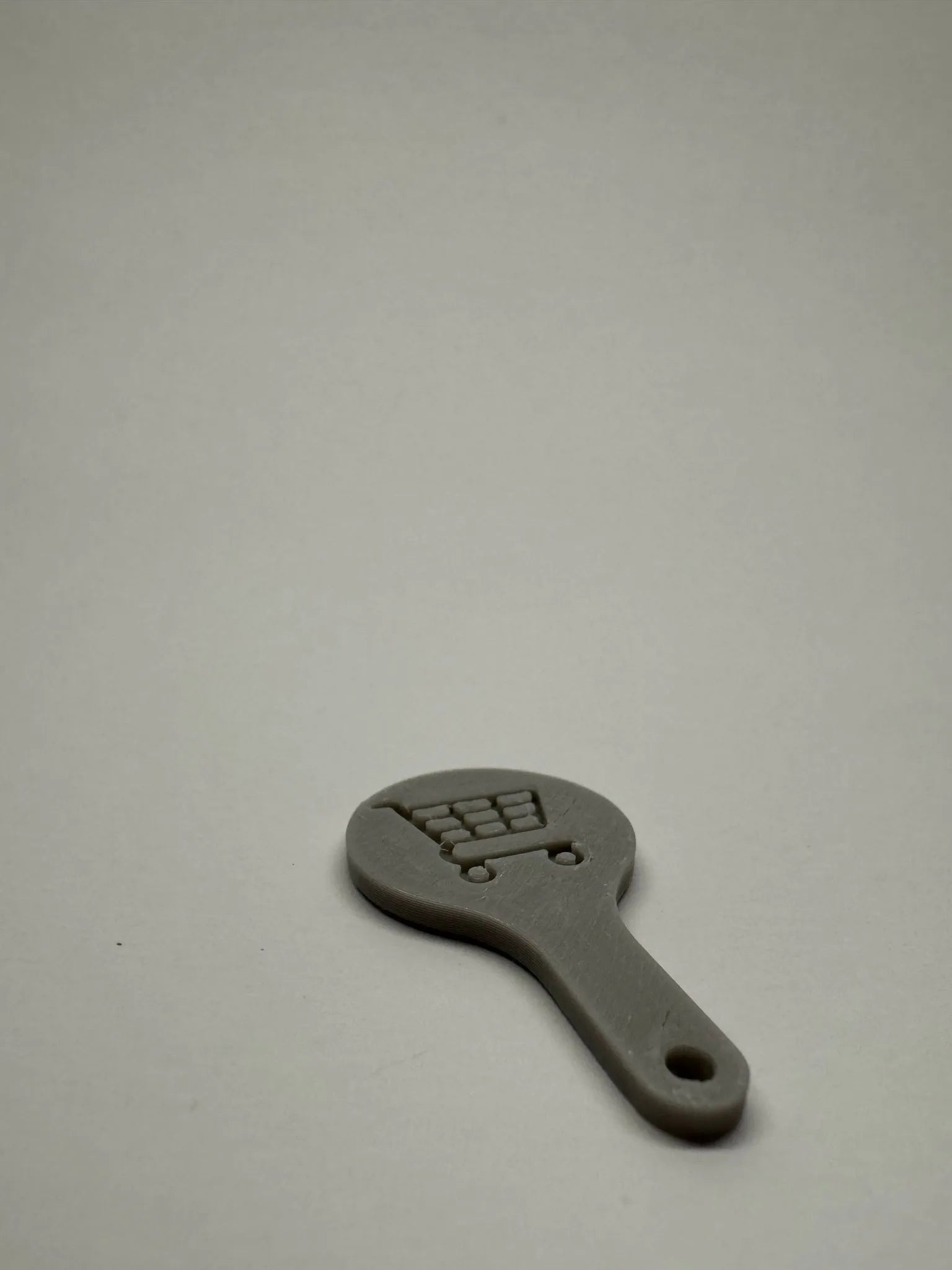 Shopping cart coin
