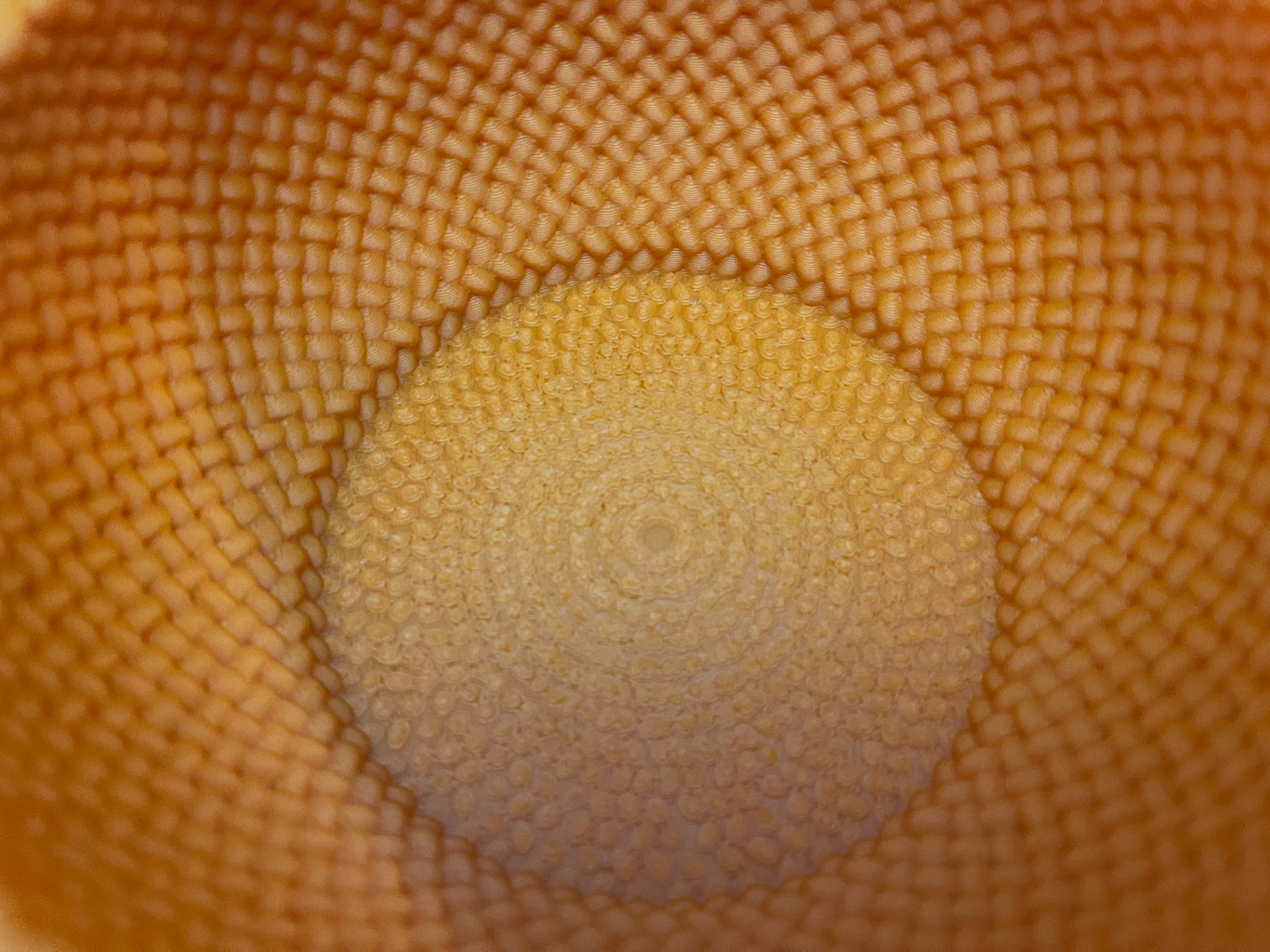 A Knitted Yarn Ball