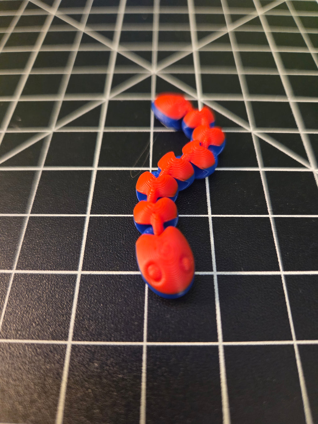 Multi Colored Snakes
