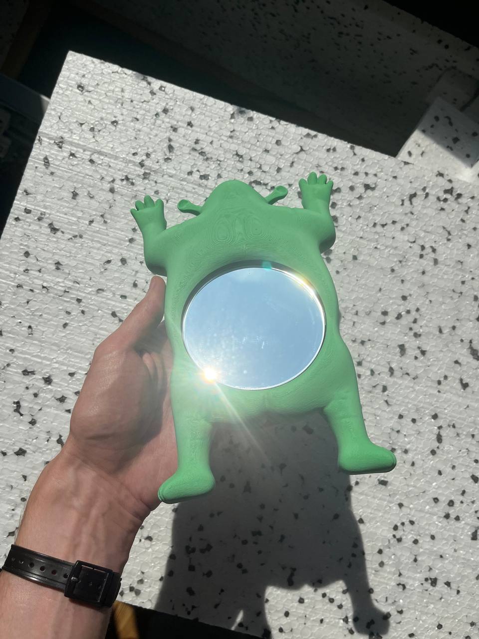 Shrek mirror