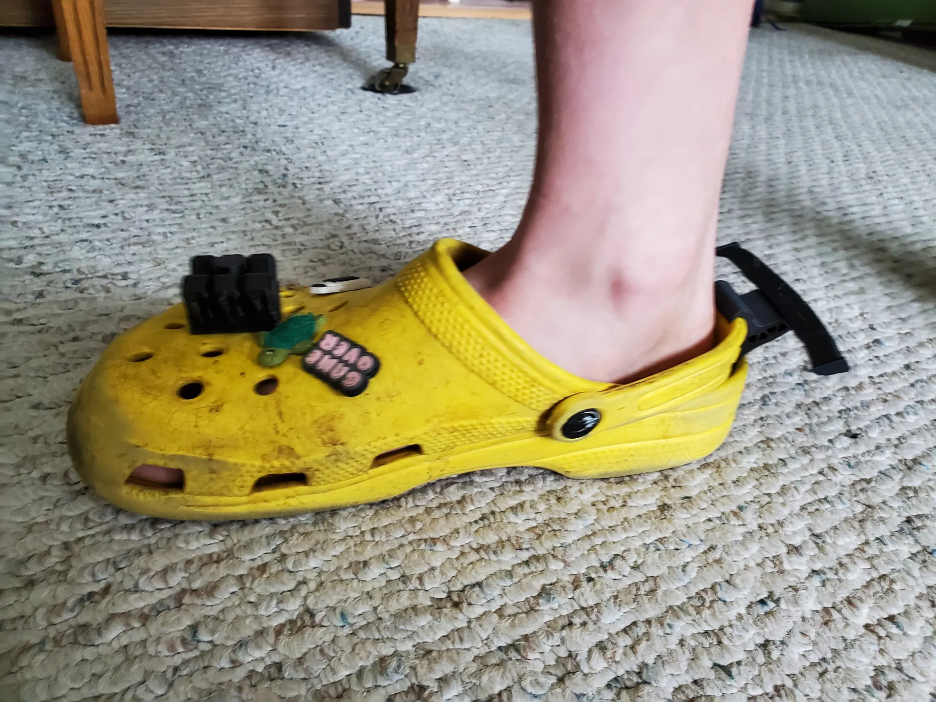 croc spoiler