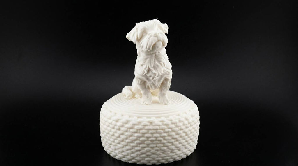 Maltese dog on the puff