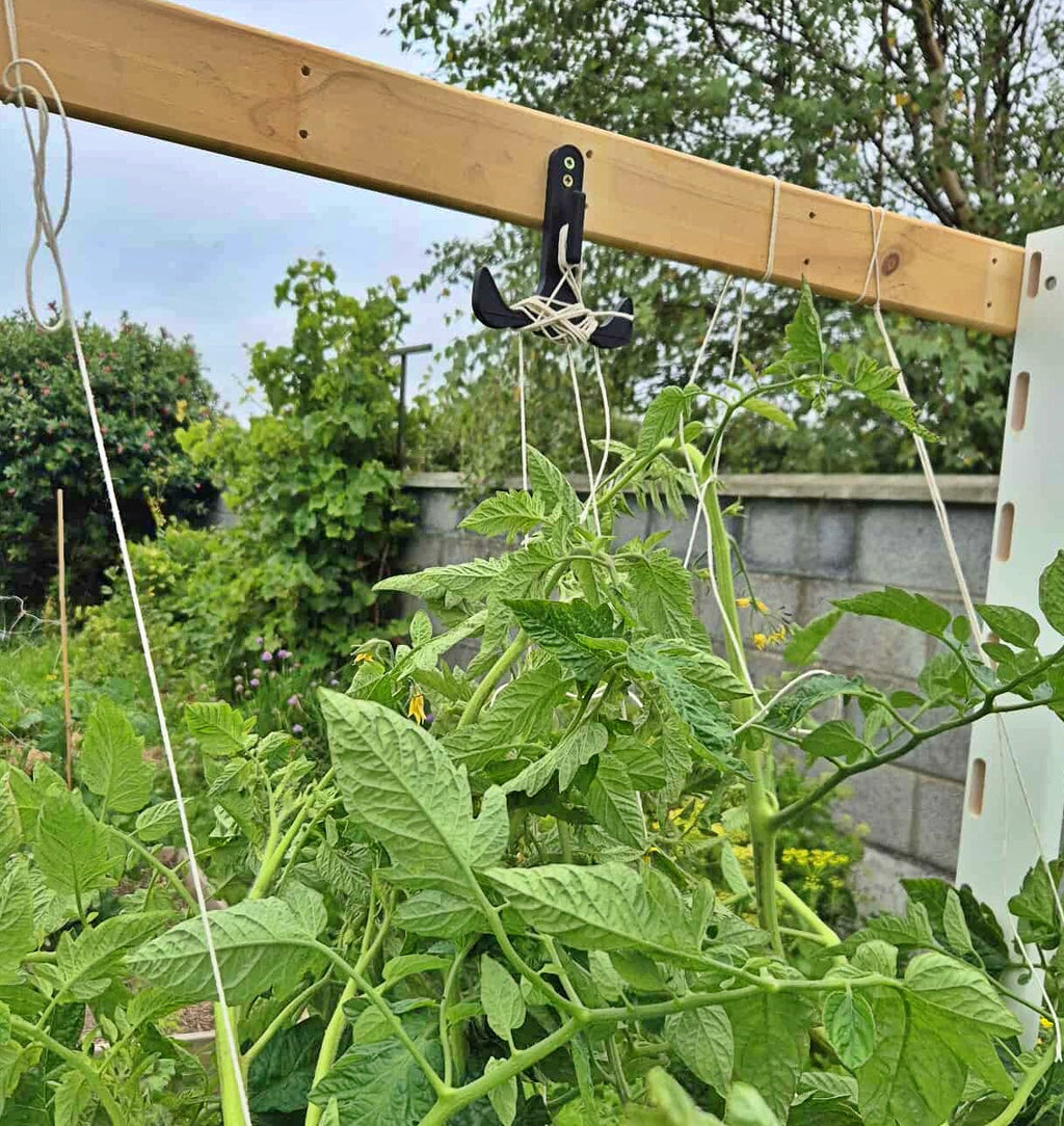 Plant Tie-Up Hook