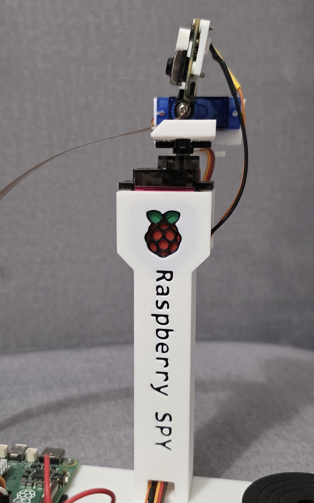 The Raspberry SPY