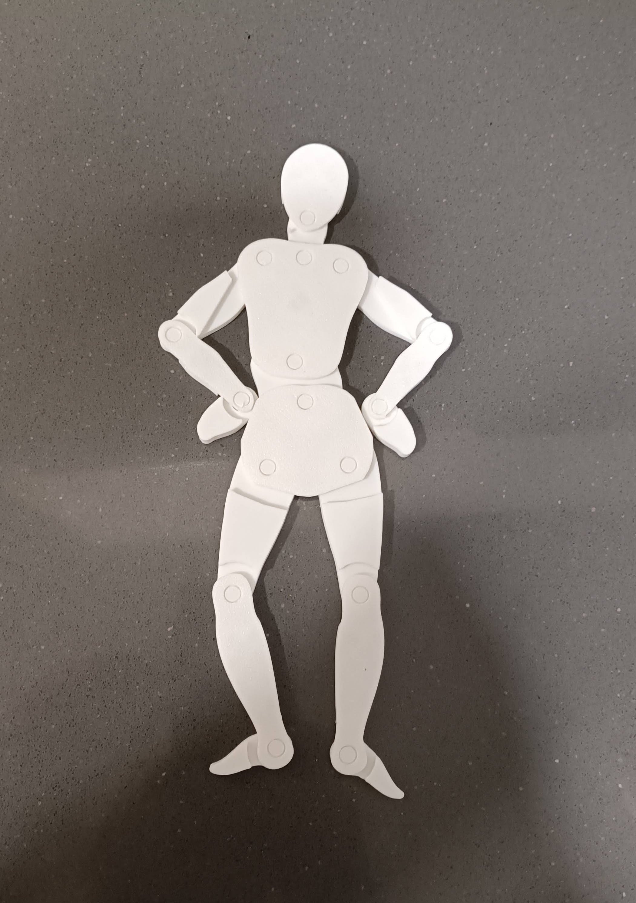 Maniquí articulado de cuerpo humano