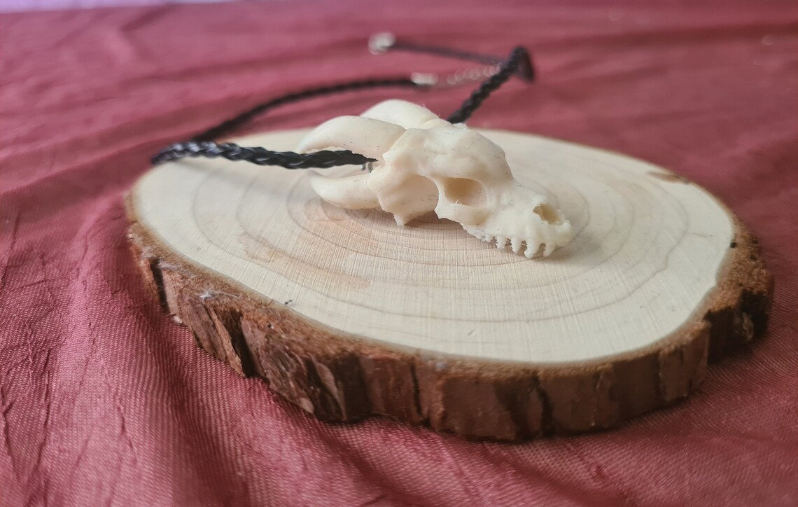 Dragon skull necklace keychain earring