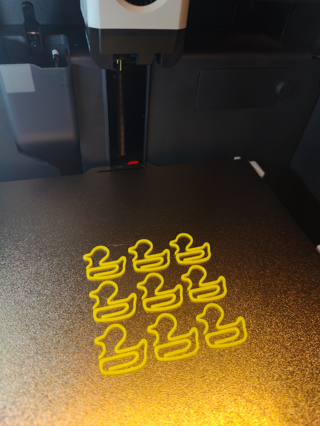 Fun Paper clips.