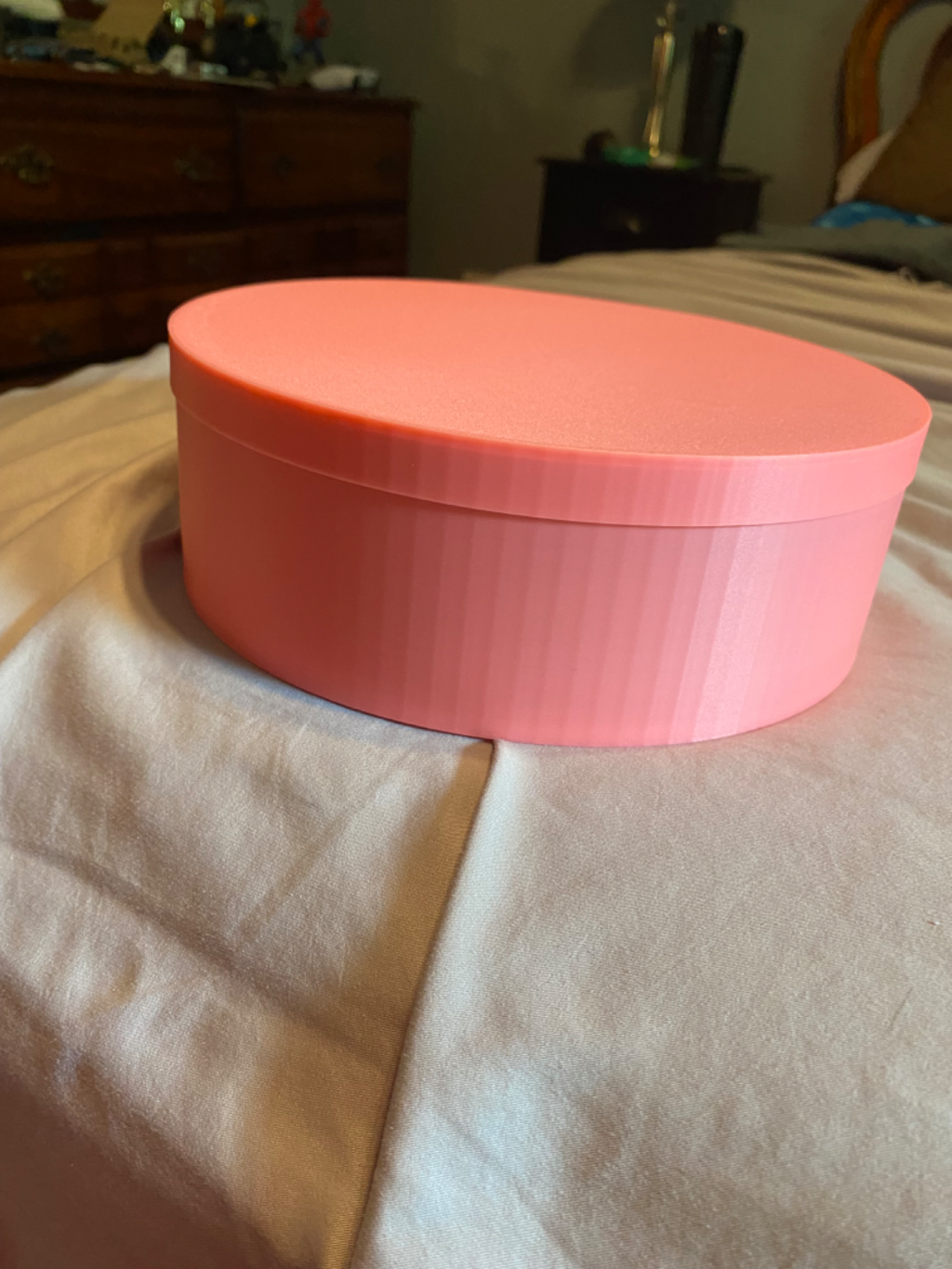 Filament Dryer Box With Lid