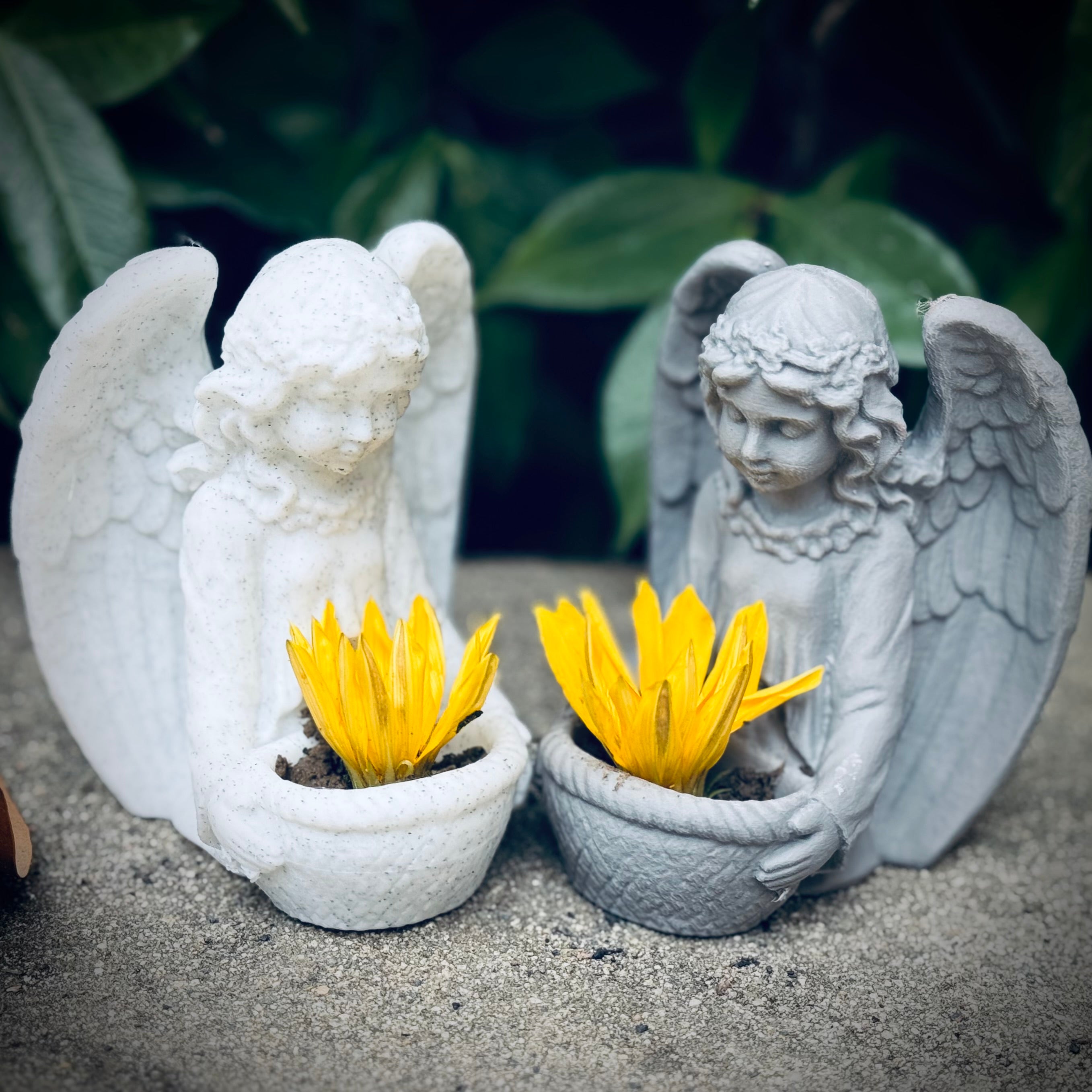 Angel Holding A Basket