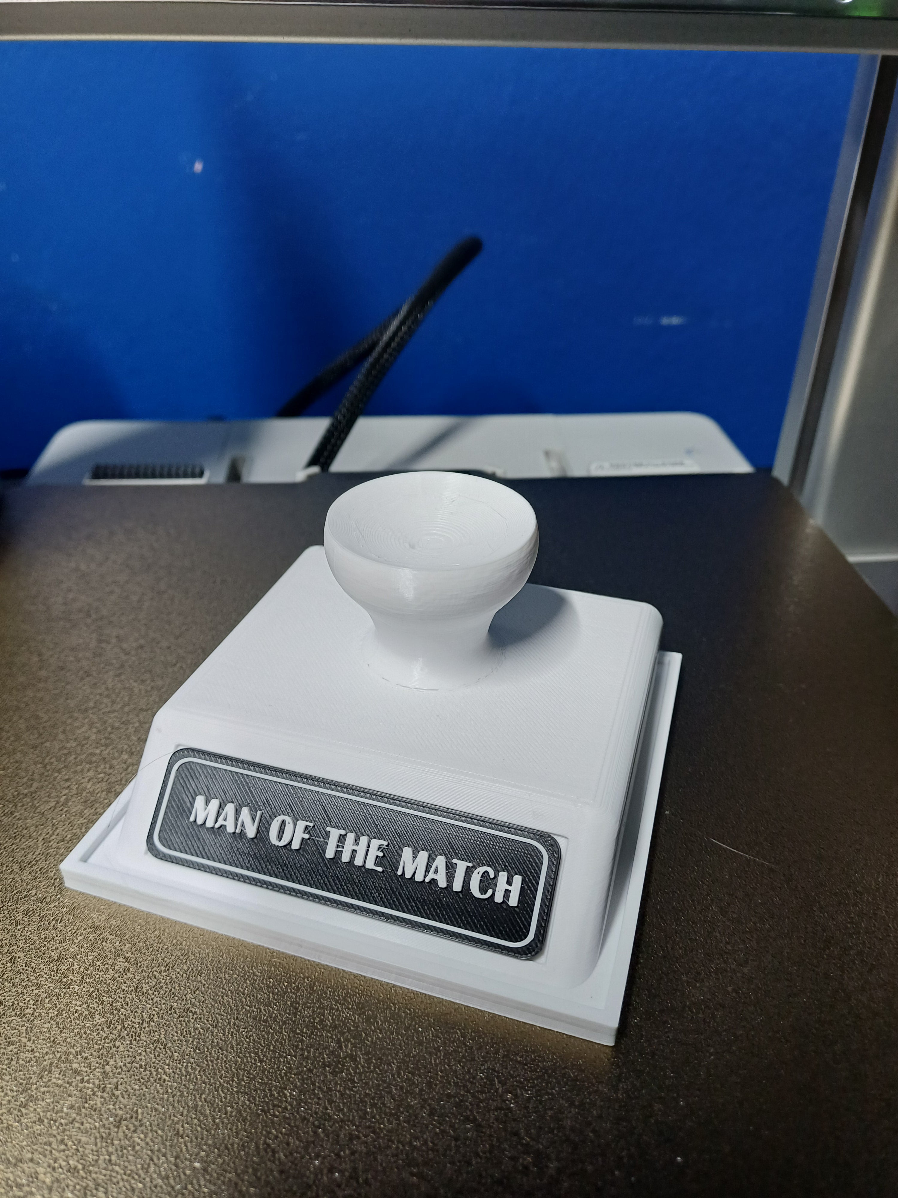 Trophy Name Plate - Customizable Award Plaque