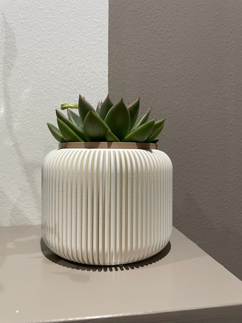Vaso per pianta di design doppio colore (no AMS)