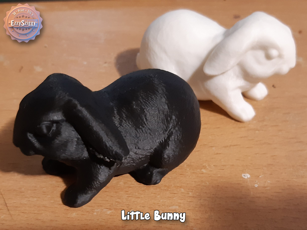 Little Bunny