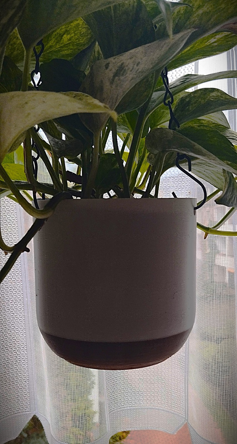 Hanging Planter